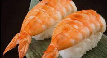 Shrimp