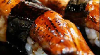 Eel