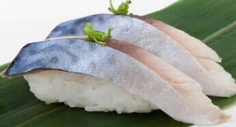 Mackerel