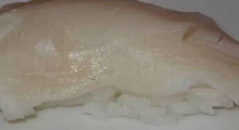 * Conch